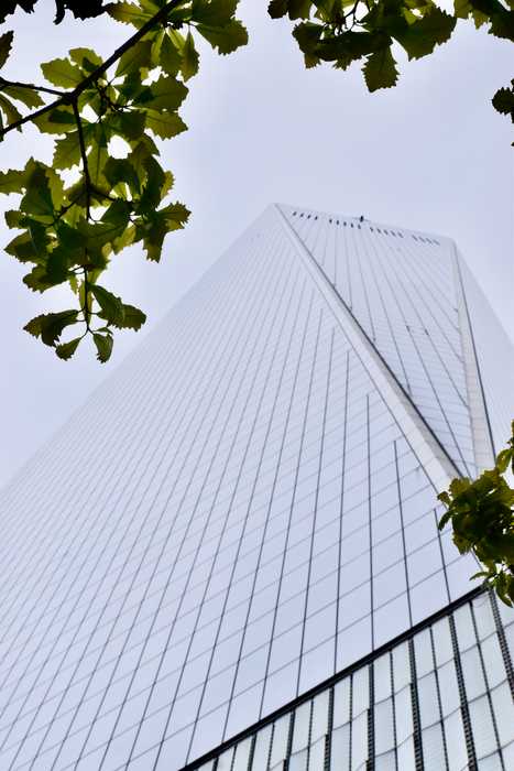 NY-1one-world-trade-center-(-daytime).jpeg